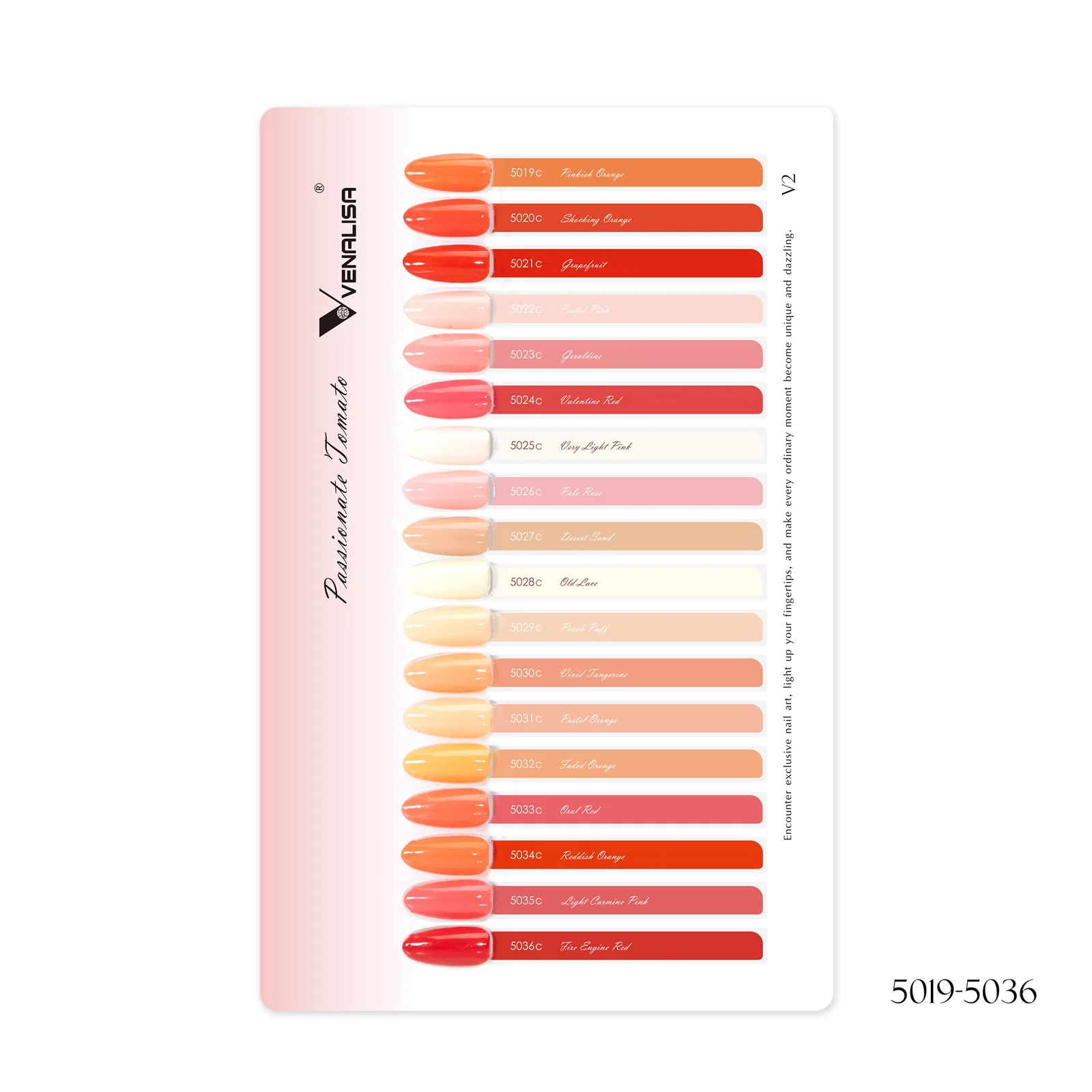 Color Card for 10ML Collection - Image 2